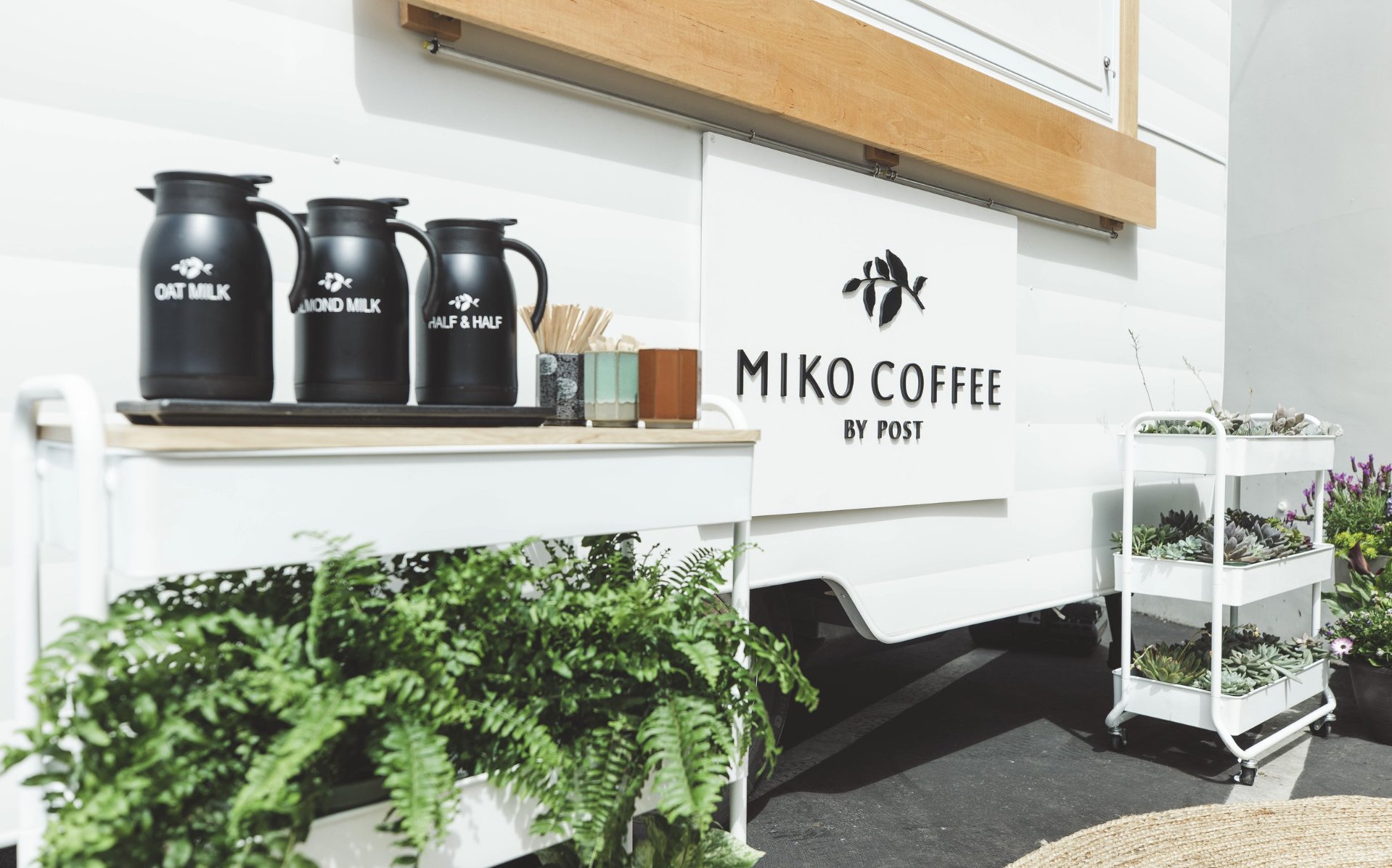 Miko Coffee — Plants by Post